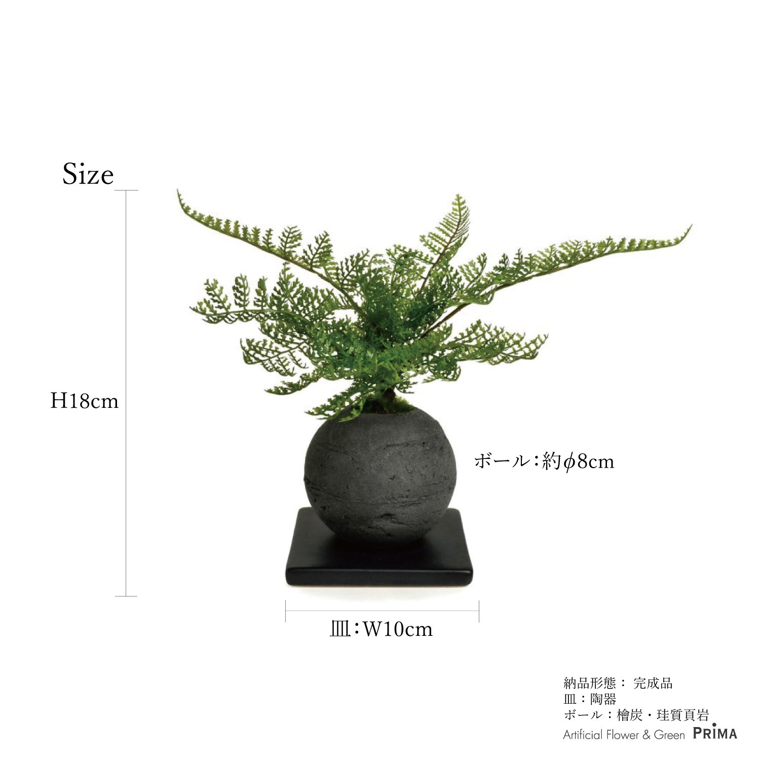 シノブ 檜炭ボール(黒皿) CUPBON 盆栽 フェイクグリーン