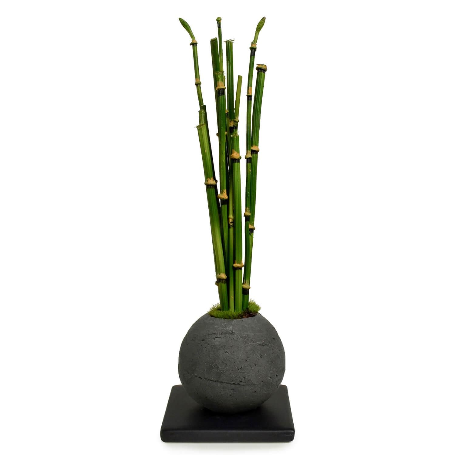 トクサ 檜炭ボール フェイク盆栽 カップボン | 造花専門店プリマ