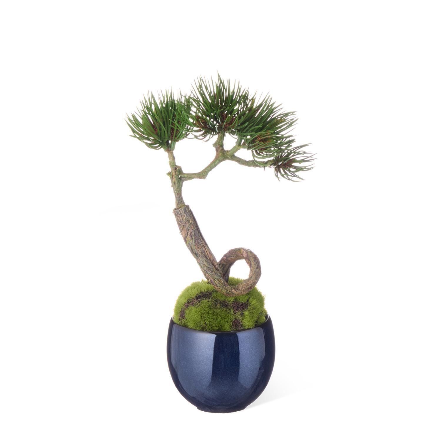  ᤭ή ȭ  CUPBON ߺ ե꡼