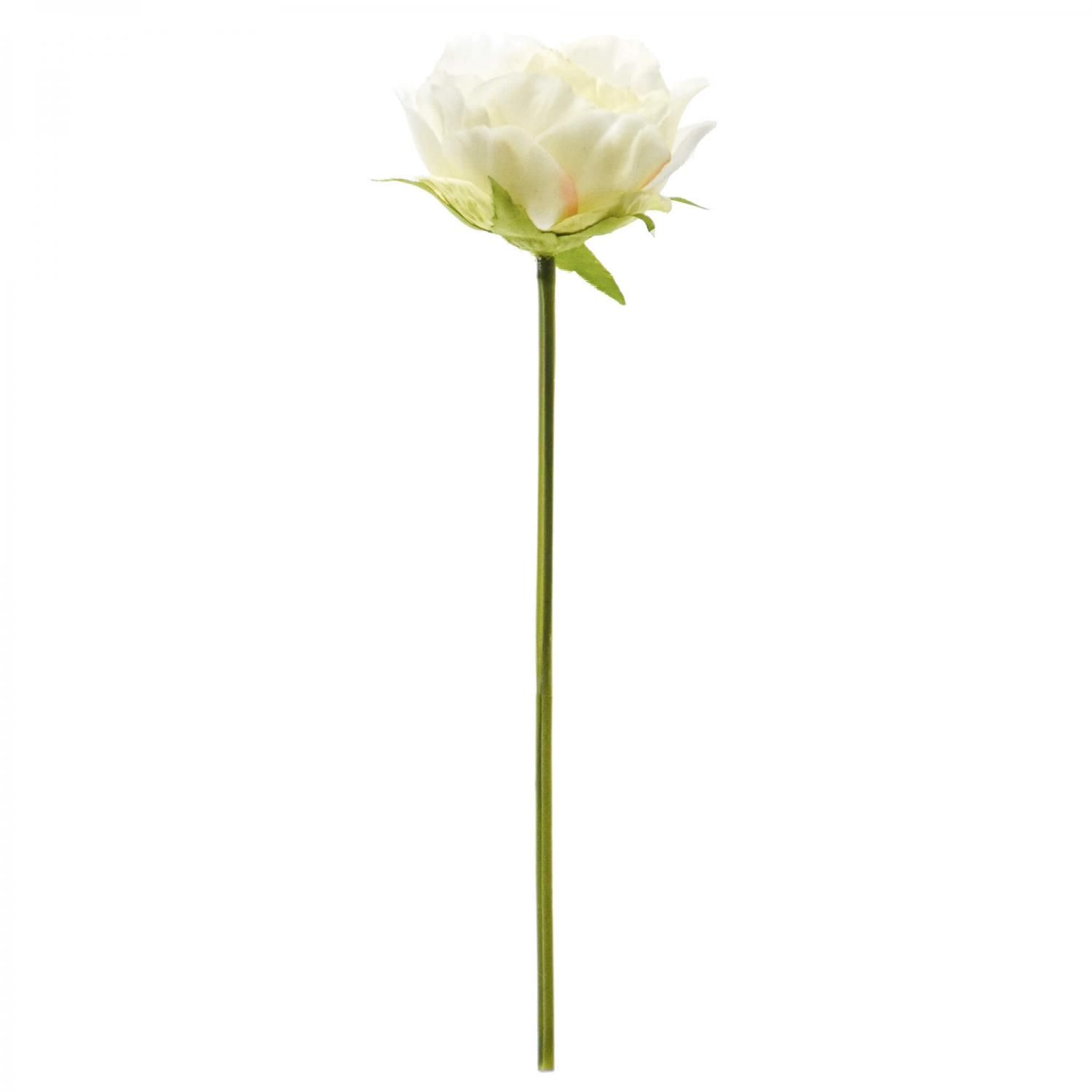 ローズ 薔薇 ホワイト 単品花材 アーティフィシャルフラワー 造花 フェイクグリーン専門店プリマ 通販 ローズ 薔薇 ホワイト 単品花材 アーティフィシャルフラワー 造花 フェイクグリーン専門店プリマ 通販