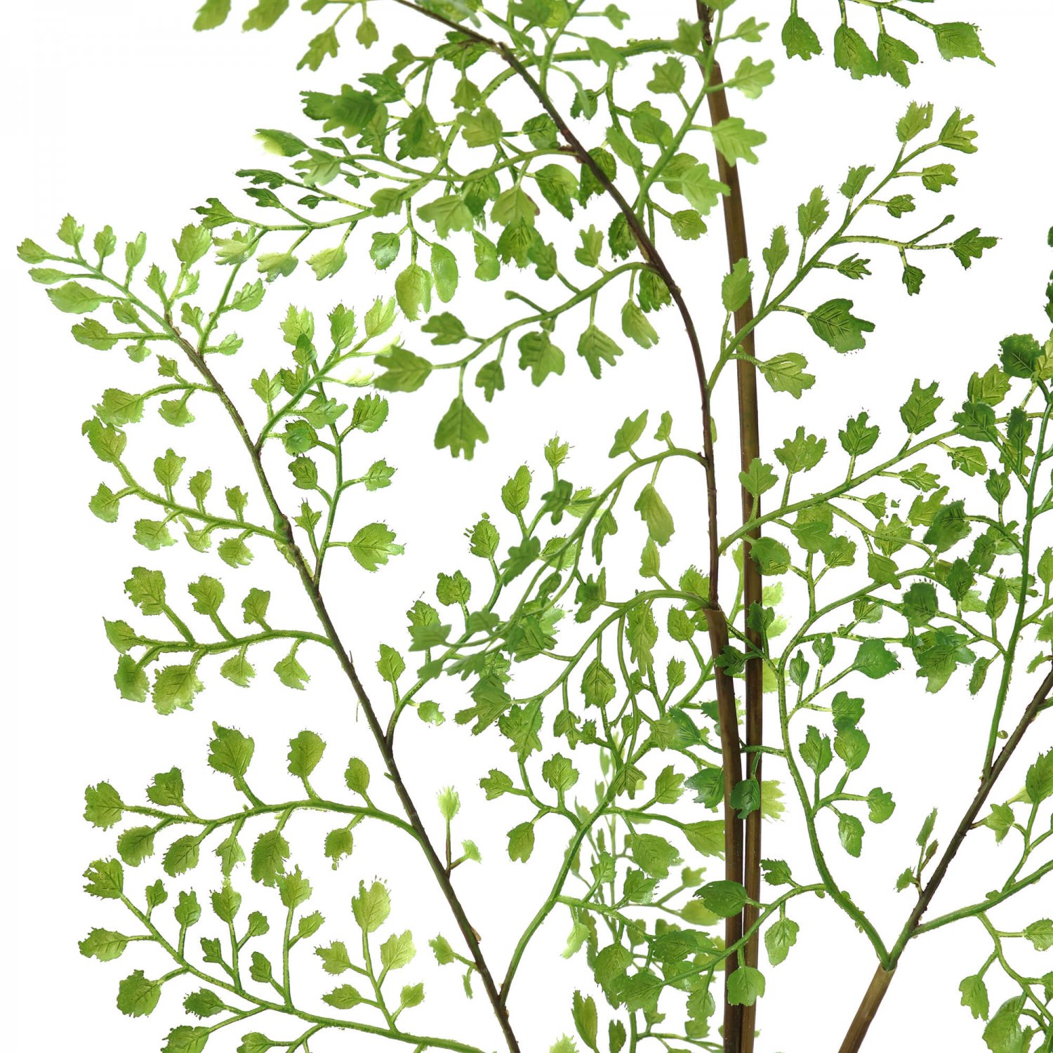 サンキライ×アジアンタム ウォーター H54cm 観葉植物 フェイクグリーン