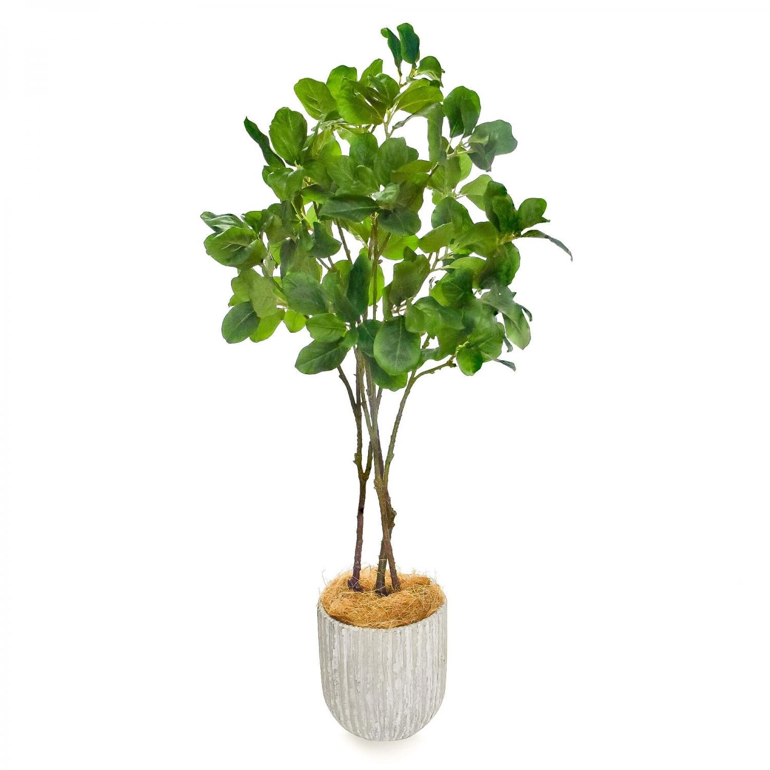 マグノリアリーフの観葉植物 フェイクグリーン | 造花専門店プリマ