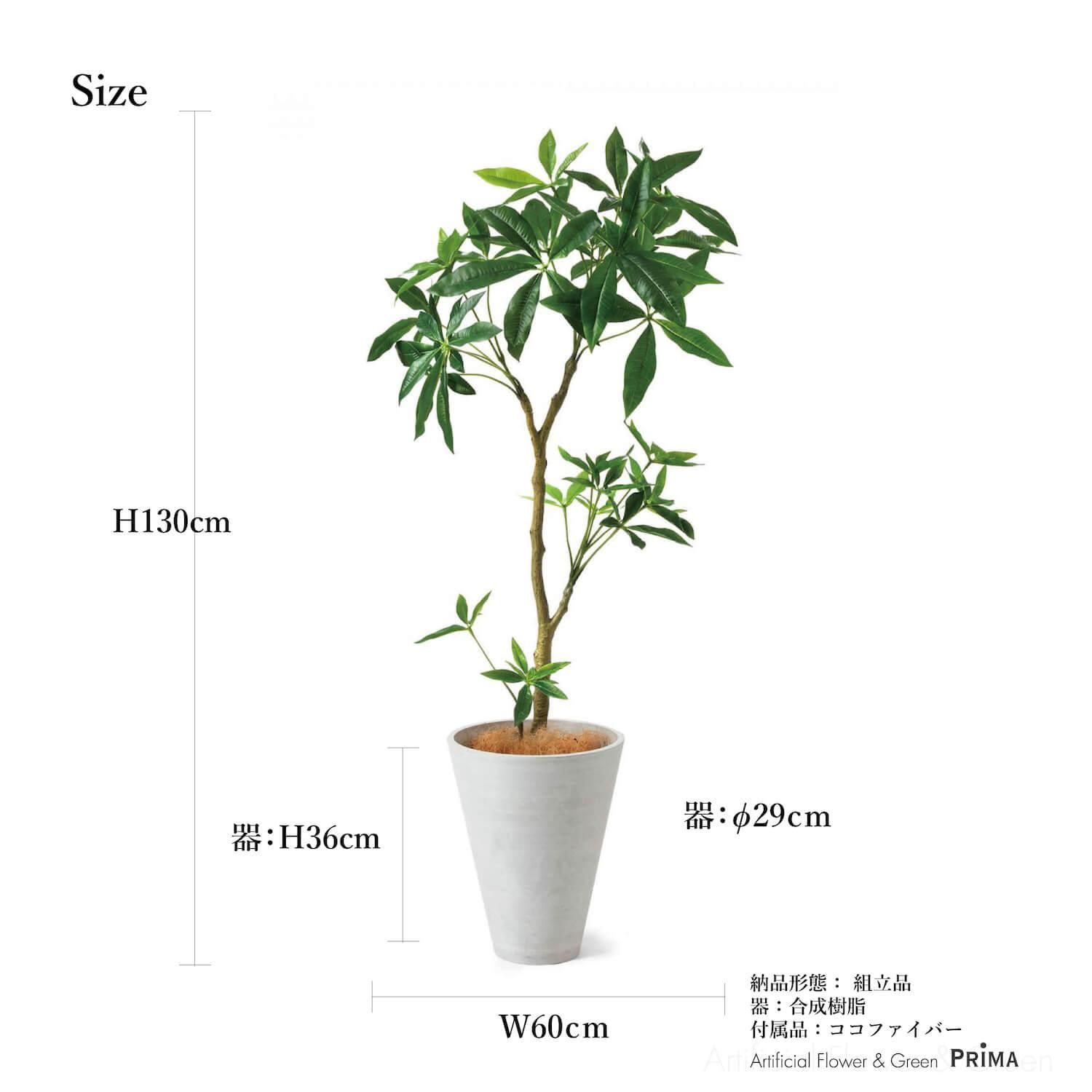 パキラの観葉植物 フェイクグリーン | 造花専門店プリマ パキラの観葉植物 フェイクグリーン | 造花専門店プリマ