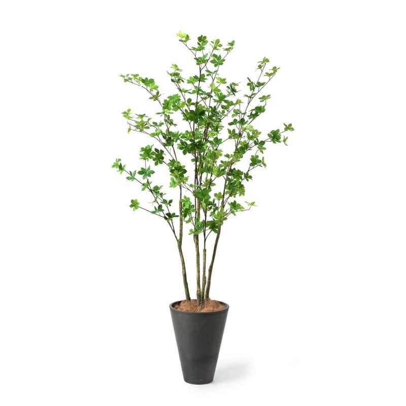 ドウダンツツジの観葉植物 フェイクグリーン | 造花専門店プリマ