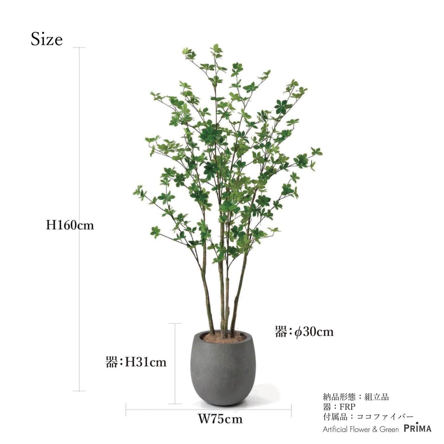 ドウダンツツジの観葉植物 フェイクグリーン | 造花専門店プリマ