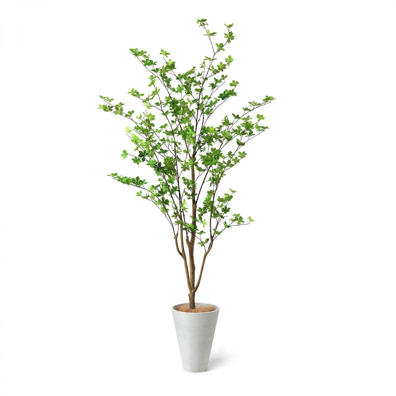 ドウダンツツジの観葉植物 フェイクグリーン | 造花専門店プリマ