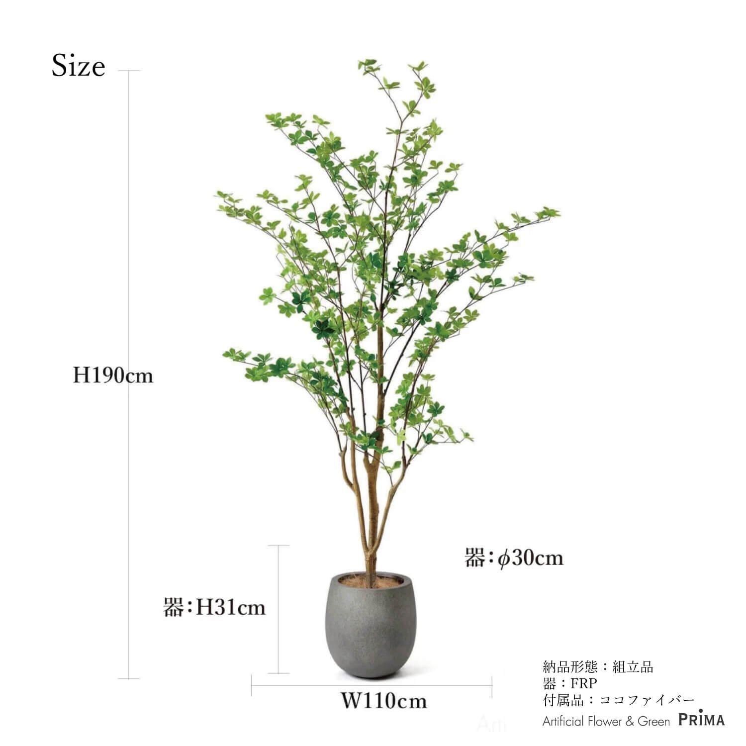 ドウダンツツジの観葉植物 フェイクグリーン | 造花専門店プリマ ドウダンツツジの観葉植物 フェイクグリーン | 造花専門店プリマ