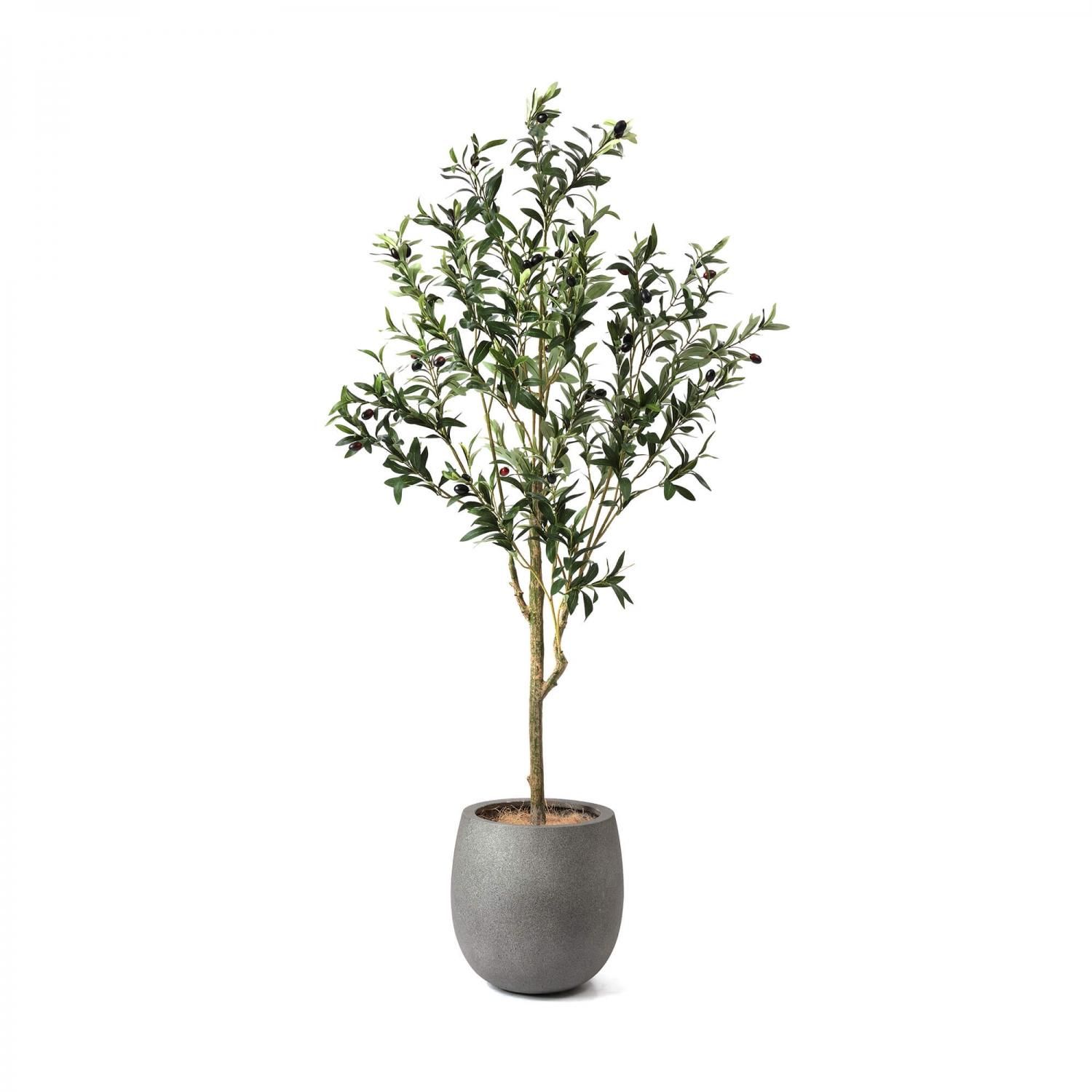 Amazon｜人工観葉植物 オリーブの木 フェイクグリーン 高さ120cm