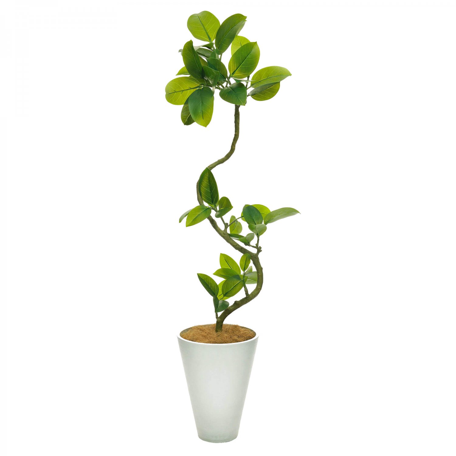 誕生日光触媒　人工観葉植物　フェイクグリーン　ツイストアルテシマ2.1