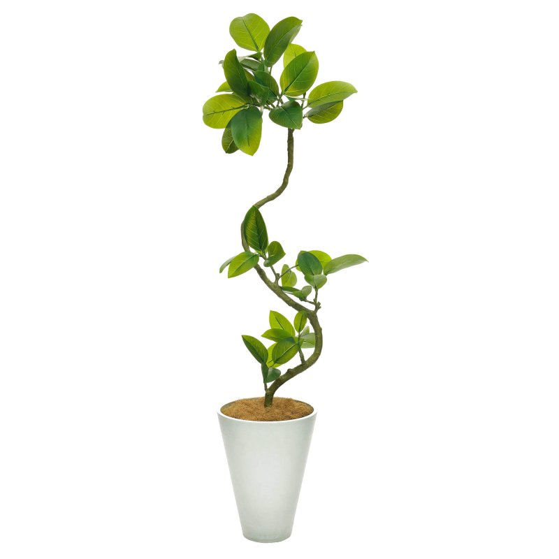 フィカスアルテシマ GWプランター H142cm ホワイト 観葉植物 フェイクグリーン eco 【別倉庫直送品】 