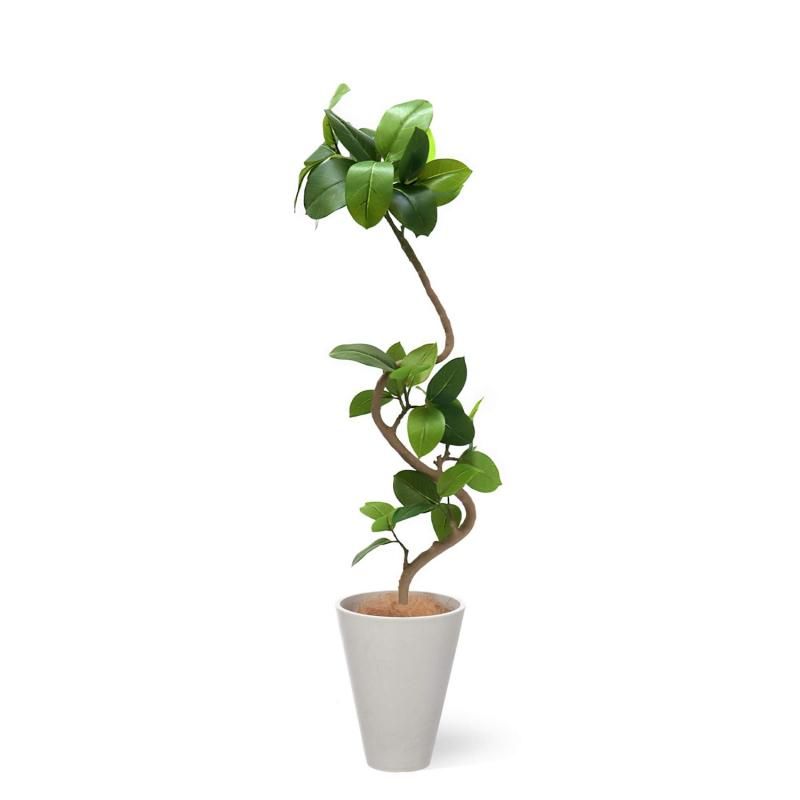 եƥ GWץ󥿡 H142cm ۥ磻 տʪ ե꡼ eco Ҹľʡ 