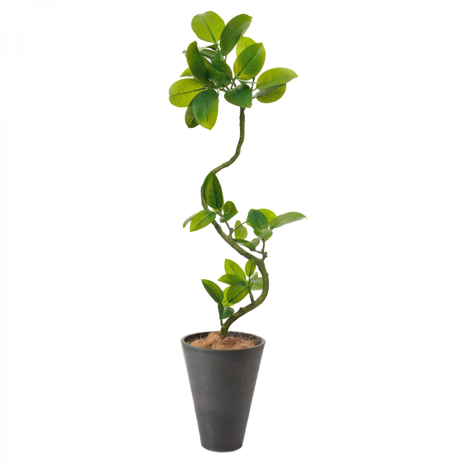 フィカスアルテシマ GWプランター H142cm グレー 観葉植物 フェイクグリーン eco 【別倉庫直送品】 