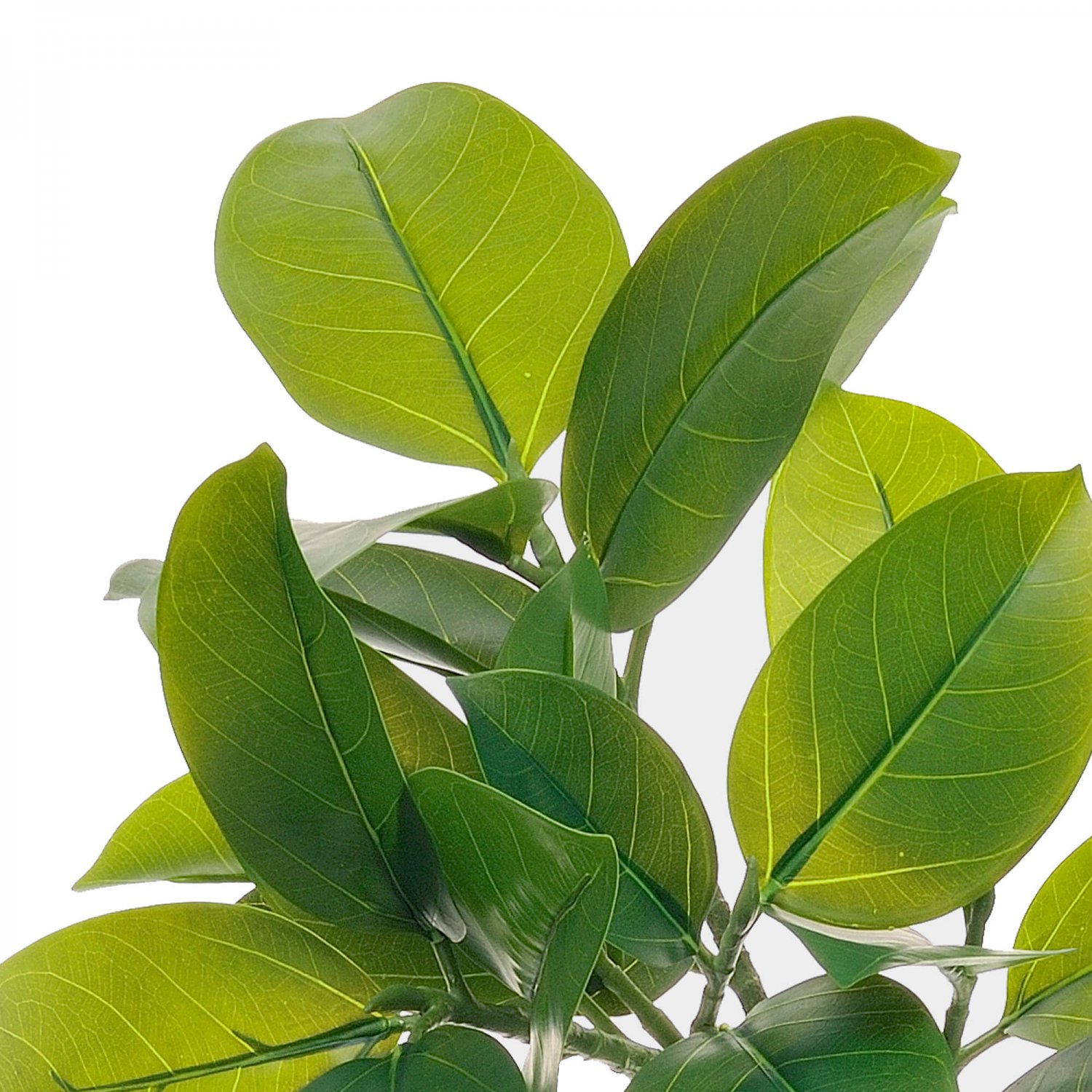 フィカスアルテシマ GWプランター H142cm グレー 観葉植物 フェイクグリーン eco 【別倉庫直送品】 