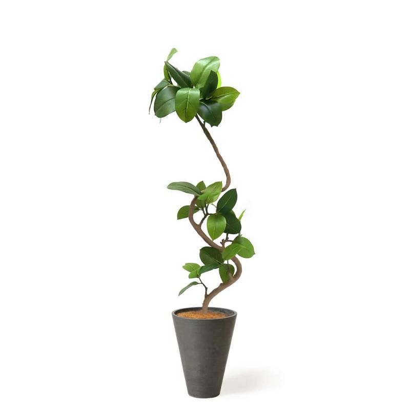 եƥ GWץ󥿡 H142cm 졼 տʪ ե꡼ eco Ҹľʡ 
