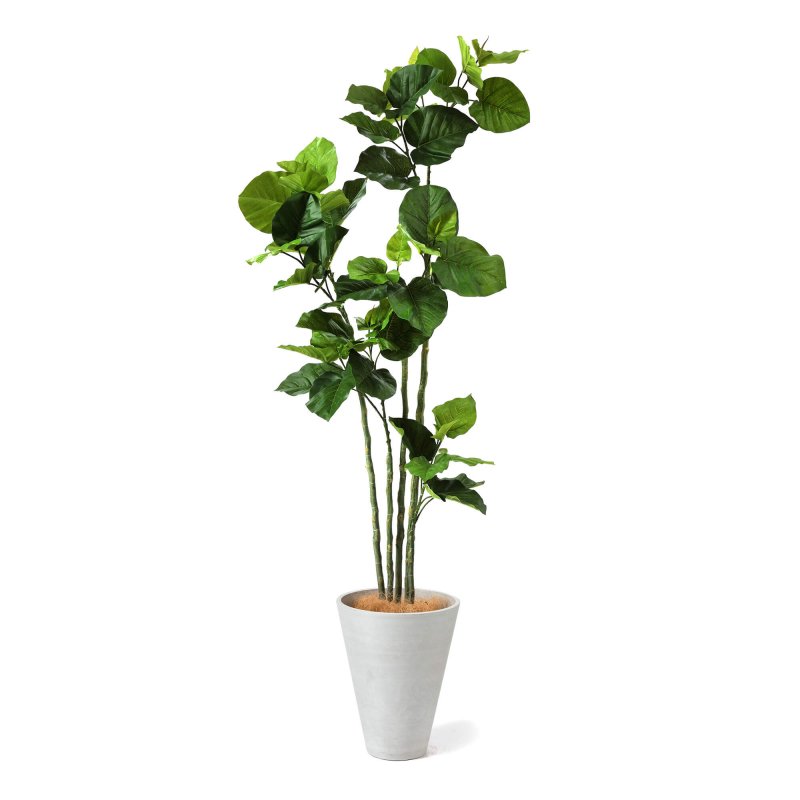 ウンベラータ GWプランター H163cm ホワイト 観葉植物 フェイクグリーン eco 【別倉庫直送品】 