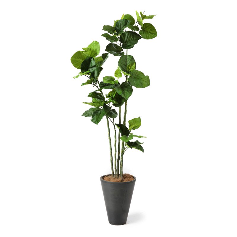 ウンベラータ GWプランター H163cm グレー 観葉植物 フェイクグリーン eco 【別倉庫直送品】 