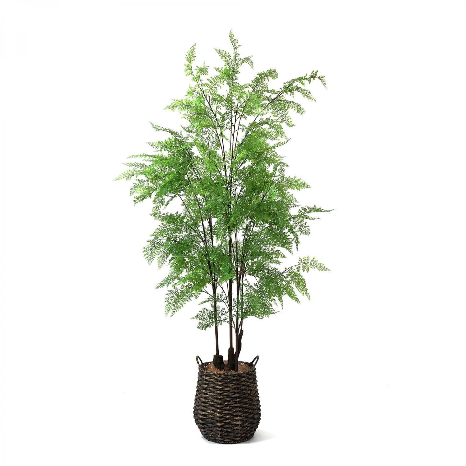 シダの観葉植物 フェイクグリーン | 造花専門店プリマ