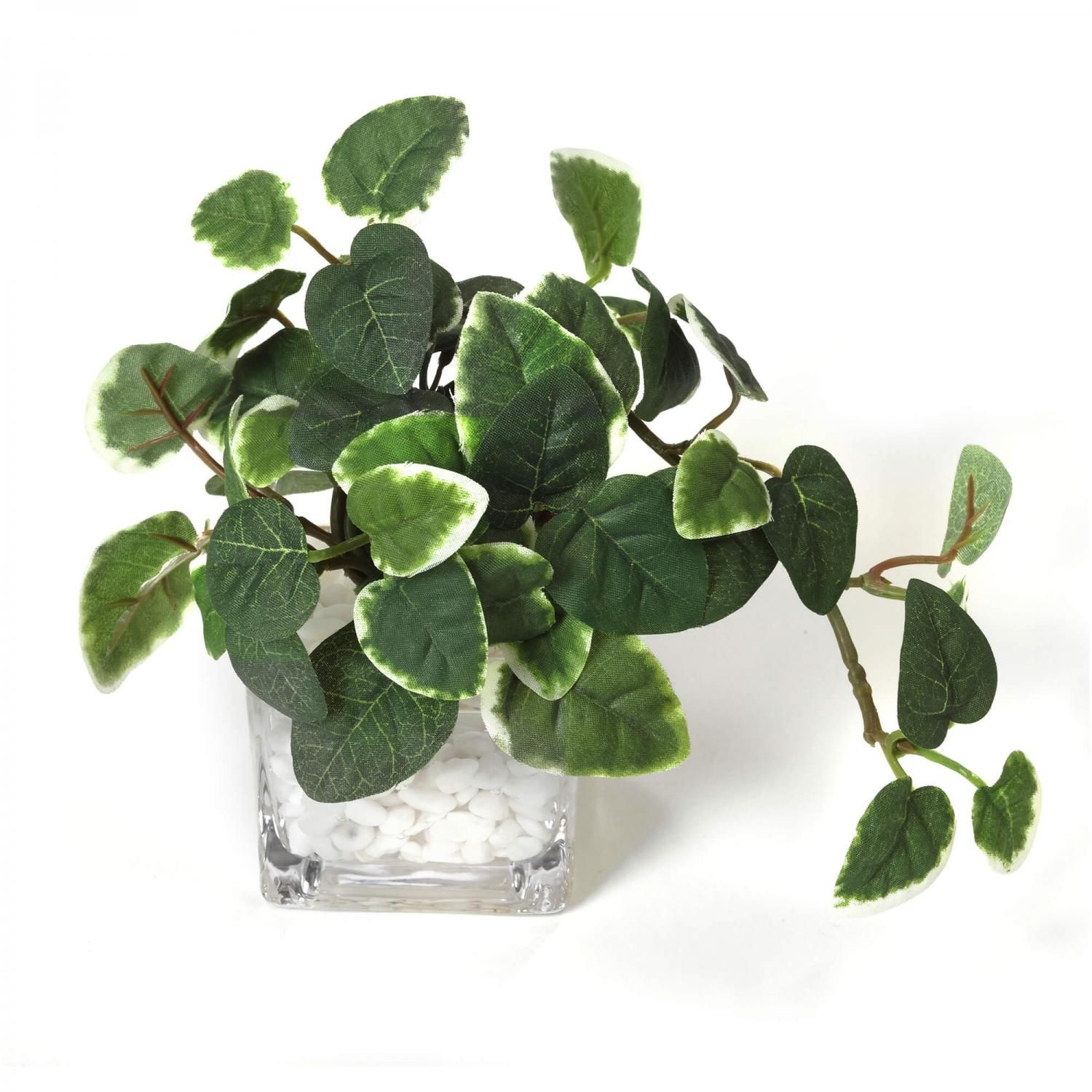 プミラ ウォーターキューブ フェイクグリーン | 造花専門店プリマ