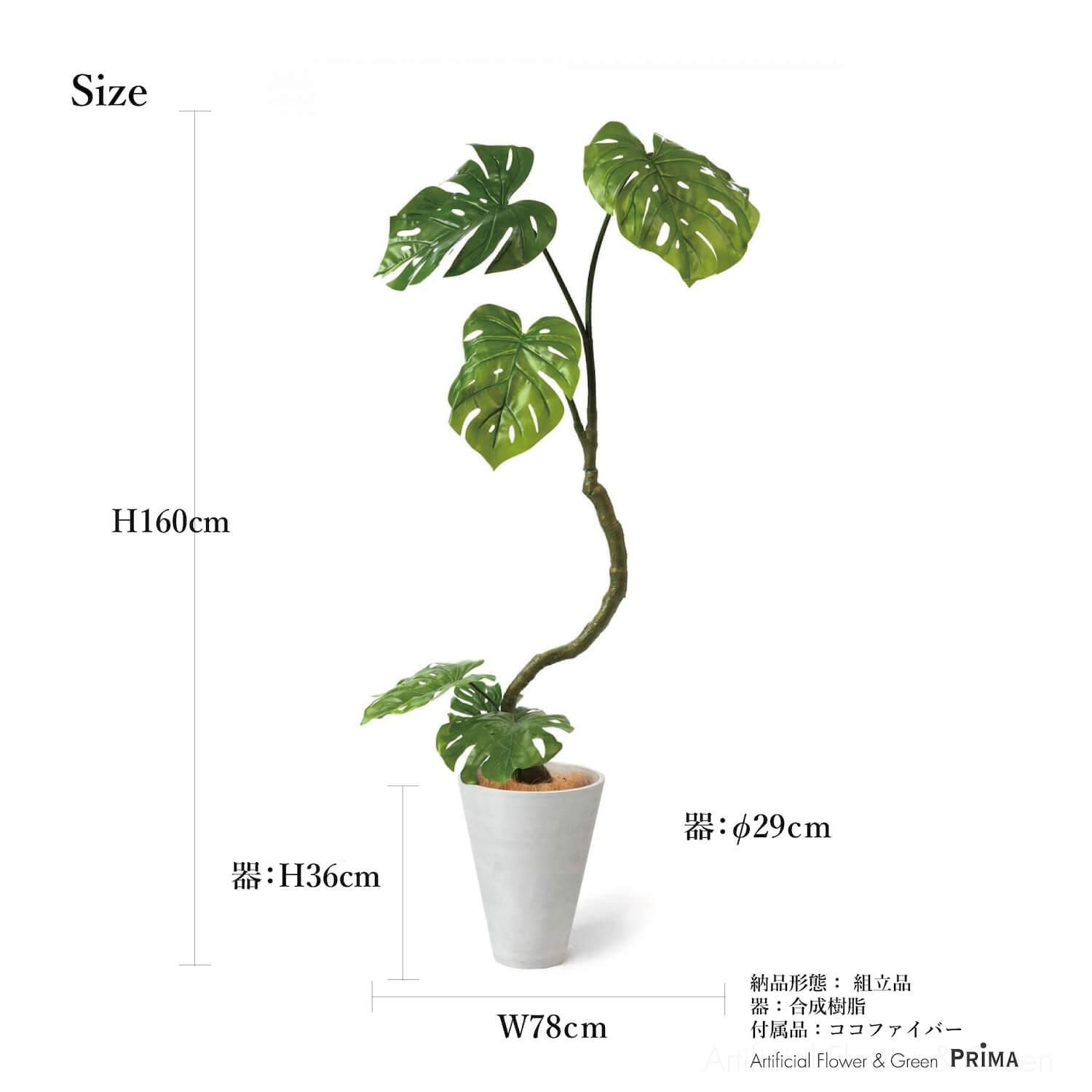 30%OFFۥĥȥ󥹥ƥ  GWץ󥿡 H160cm ۥ磻 տʪ ե꡼ Ҹľʡ <img class='new_mark_img2' src='https://img.shop-pro.jp/img/new/icons2.gif' style='border:none;display:inline;margin:0px;padding:0px;width:auto;' />