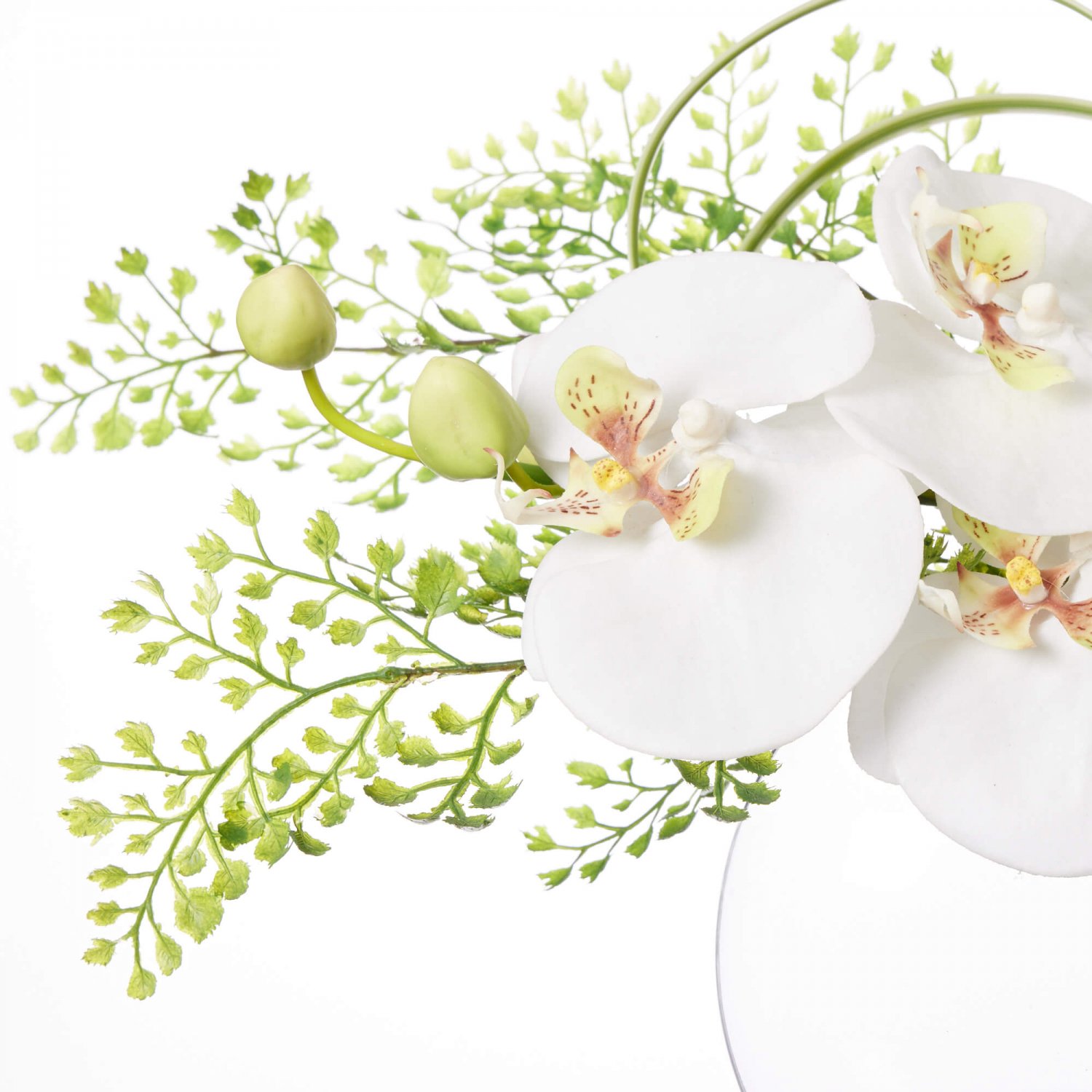 胡蝶蘭×ドラセナ ウォーターM 造花 フラワーアレンジメント 