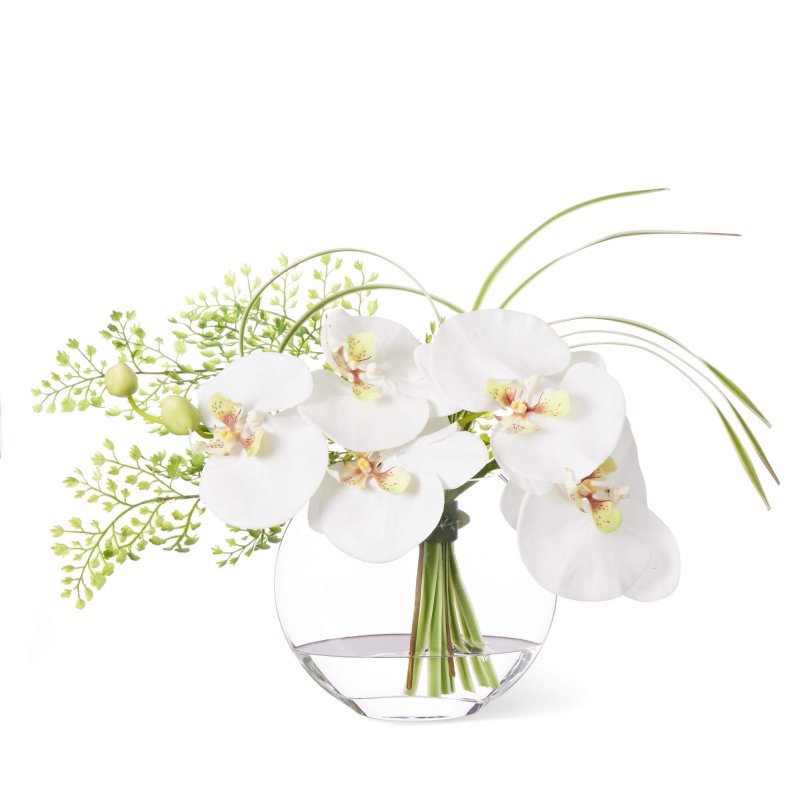 胡蝶蘭×ドラセナ ウォーターM 造花 フラワーアレンジメント 