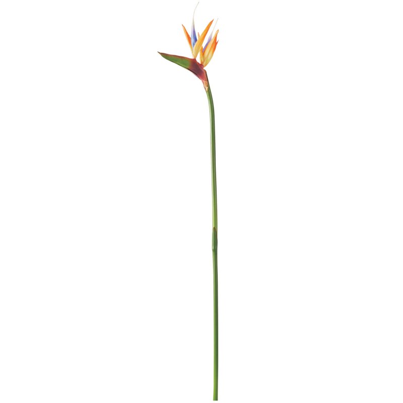 ストレリチア ゴクラクチョウカ S  単品花材 造花 アーティフィシャルフラワー 