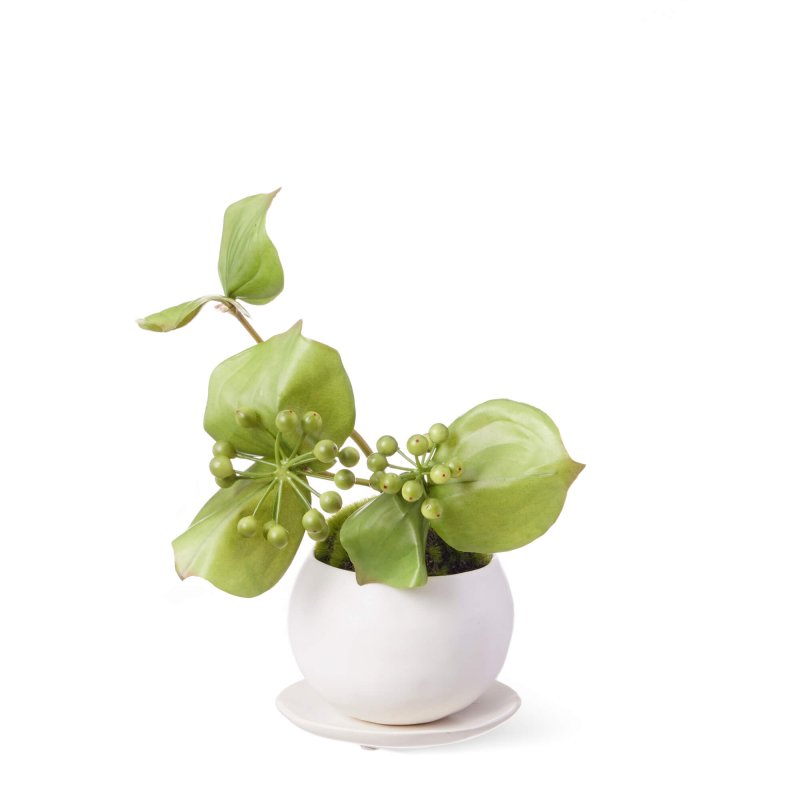 サンキライ 皿付小鉢 白  CUPBON 盆栽 フェイクグリーン
