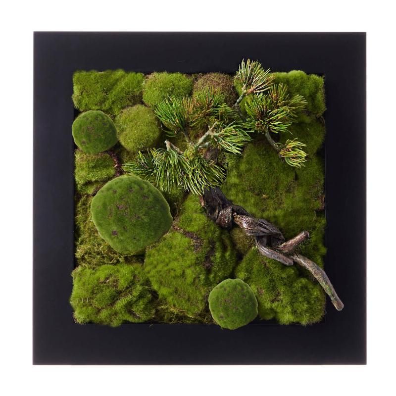   ե졼 CUPBON ߺ ե꡼