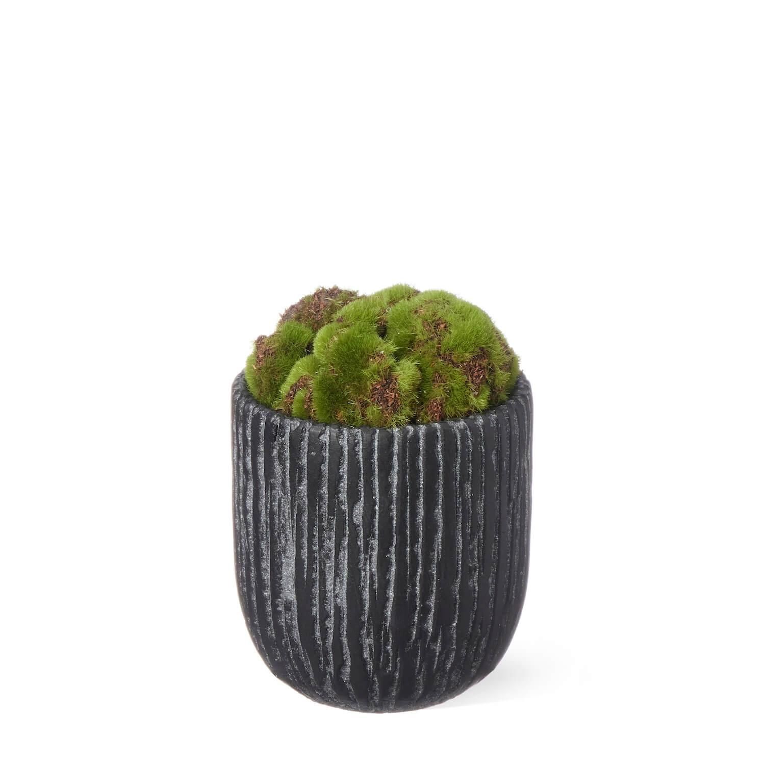 50%OFF Ÿ ʸ¤  ޿졦S ڥ CUPBON ߺ ե꡼<img class='new_mark_img2' src='https://img.shop-pro.jp/img/new/icons2.gif' style='border:none;display:inline;margin:0px;padding:0px;width:auto;' />