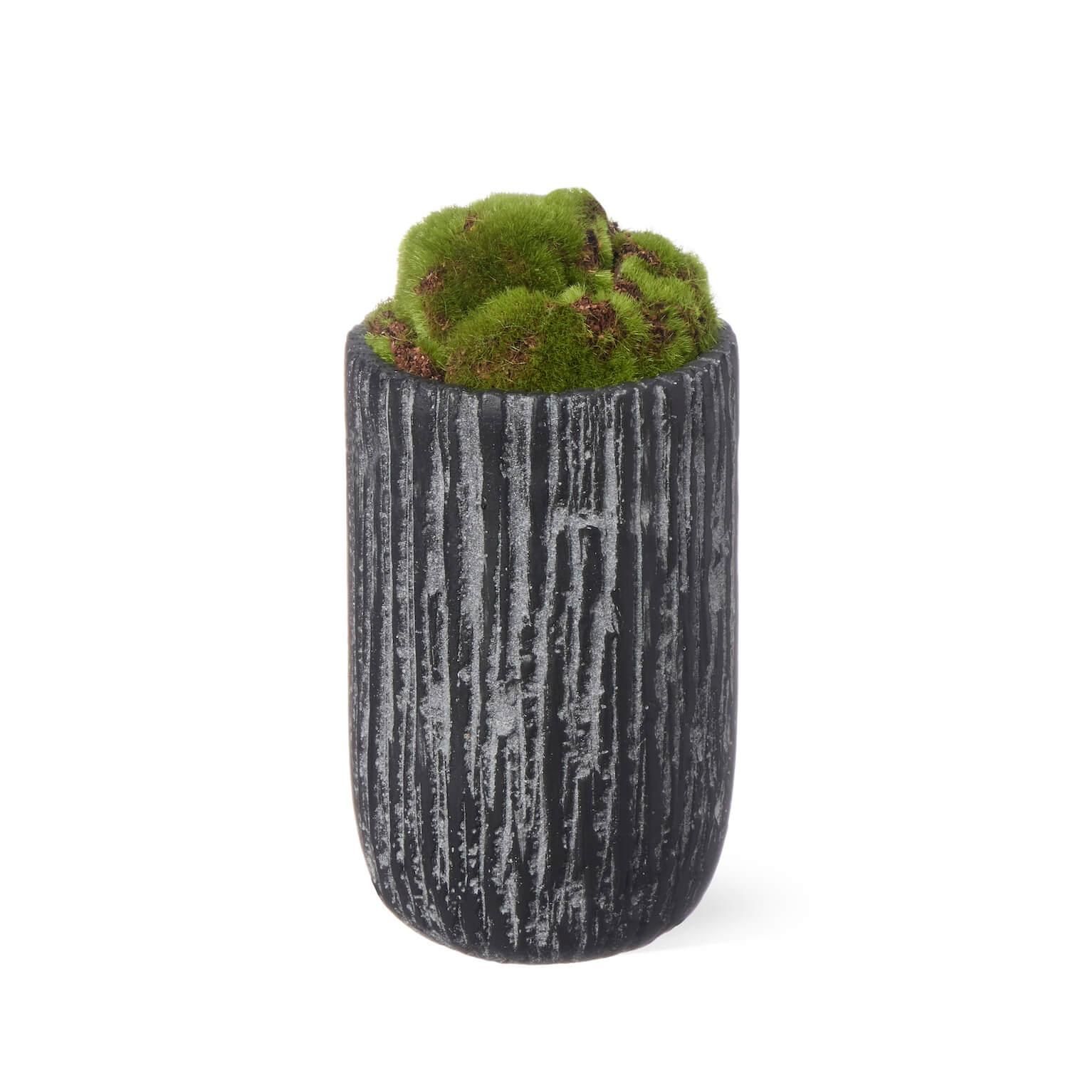 50%OFF Ÿ ʸ¤  ᤭ήL ڥ CUPBON ߺ ե꡼<img class='new_mark_img2' src='https://img.shop-pro.jp/img/new/icons2.gif' style='border:none;display:inline;margin:0px;padding:0px;width:auto;' />