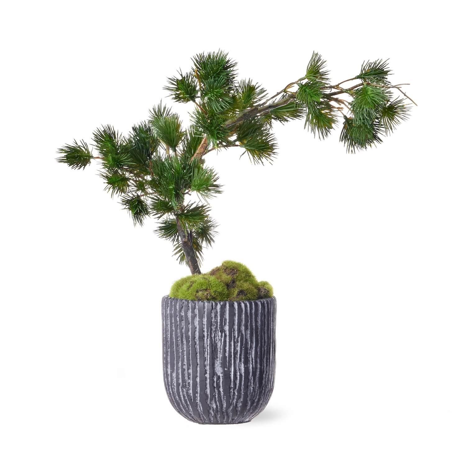50%OFF Ÿ ʸ¤  ᤭ήL ڥ CUPBON ߺ ե꡼<img class='new_mark_img2' src='https://img.shop-pro.jp/img/new/icons2.gif' style='border:none;display:inline;margin:0px;padding:0px;width:auto;' />