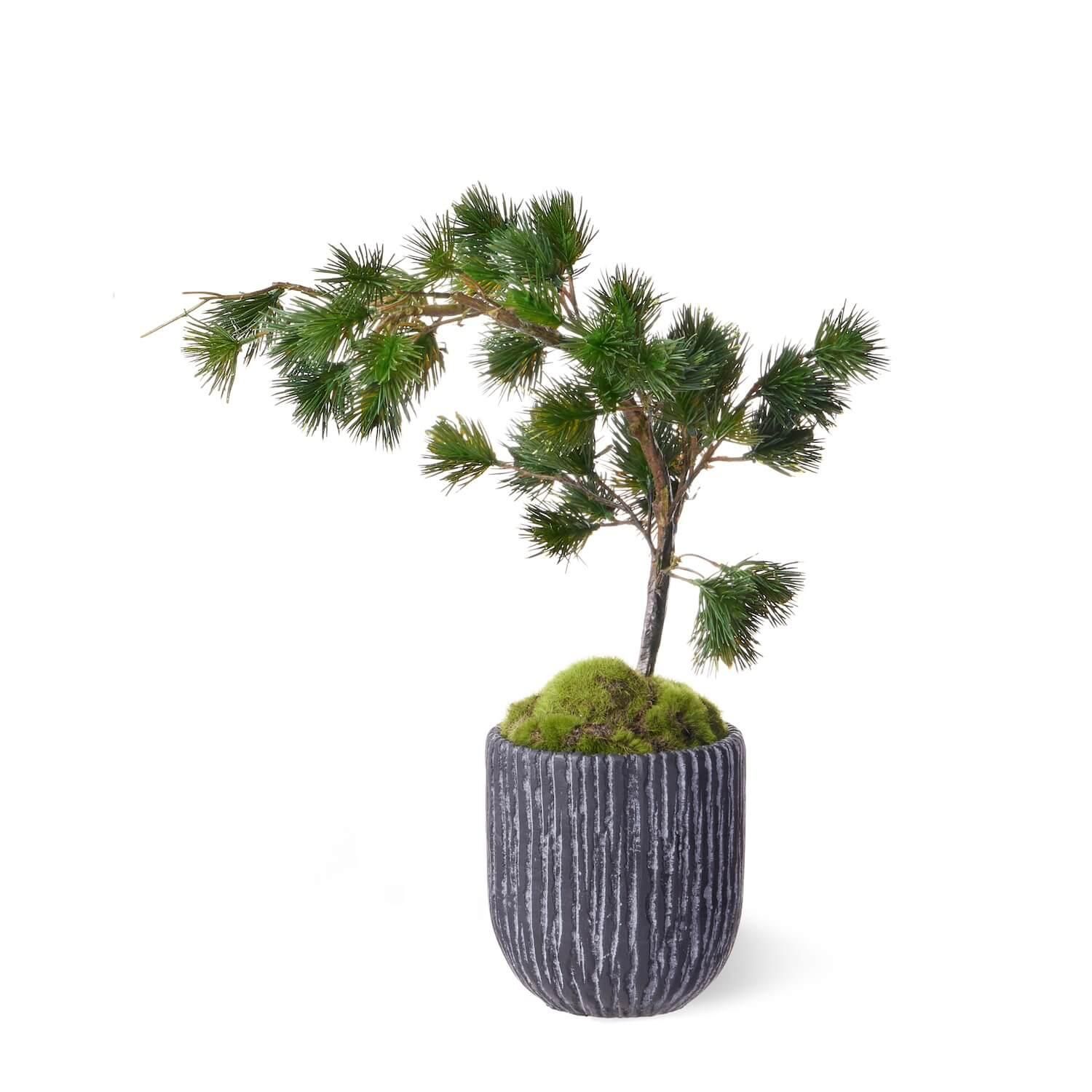 50%OFF Ÿ ʸ¤  ᤭ήL ڥ CUPBON ߺ ե꡼<img class='new_mark_img2' src='https://img.shop-pro.jp/img/new/icons2.gif' style='border:none;display:inline;margin:0px;padding:0px;width:auto;' />