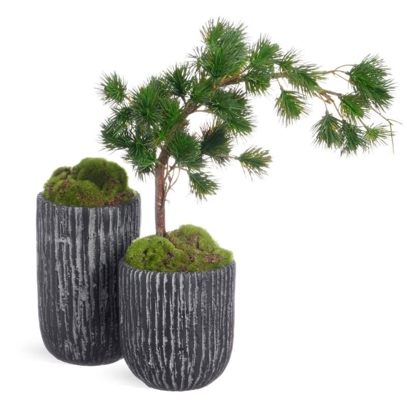 50%OFF Ÿ ʸ¤  ᤭ήL ڥ CUPBON ߺ ե꡼<img class='new_mark_img2' src='https://img.shop-pro.jp/img/new/icons2.gif' style='border:none;display:inline;margin:0px;padding:0px;width:auto;' />