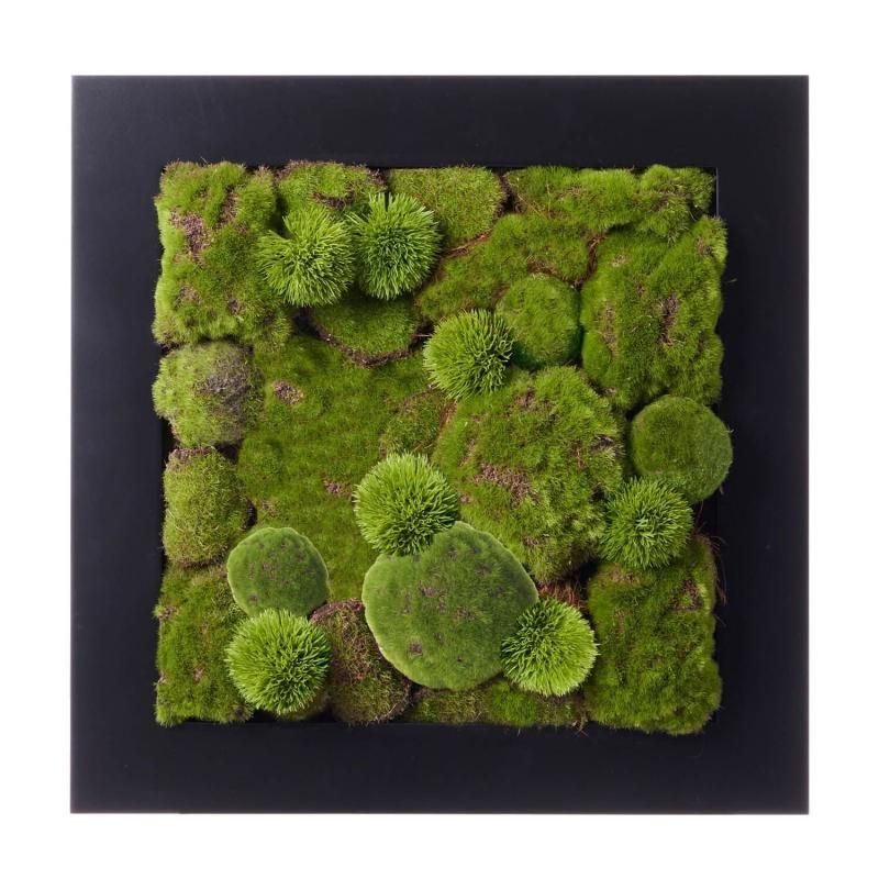  ե졼 CUPBON ߺ ե꡼