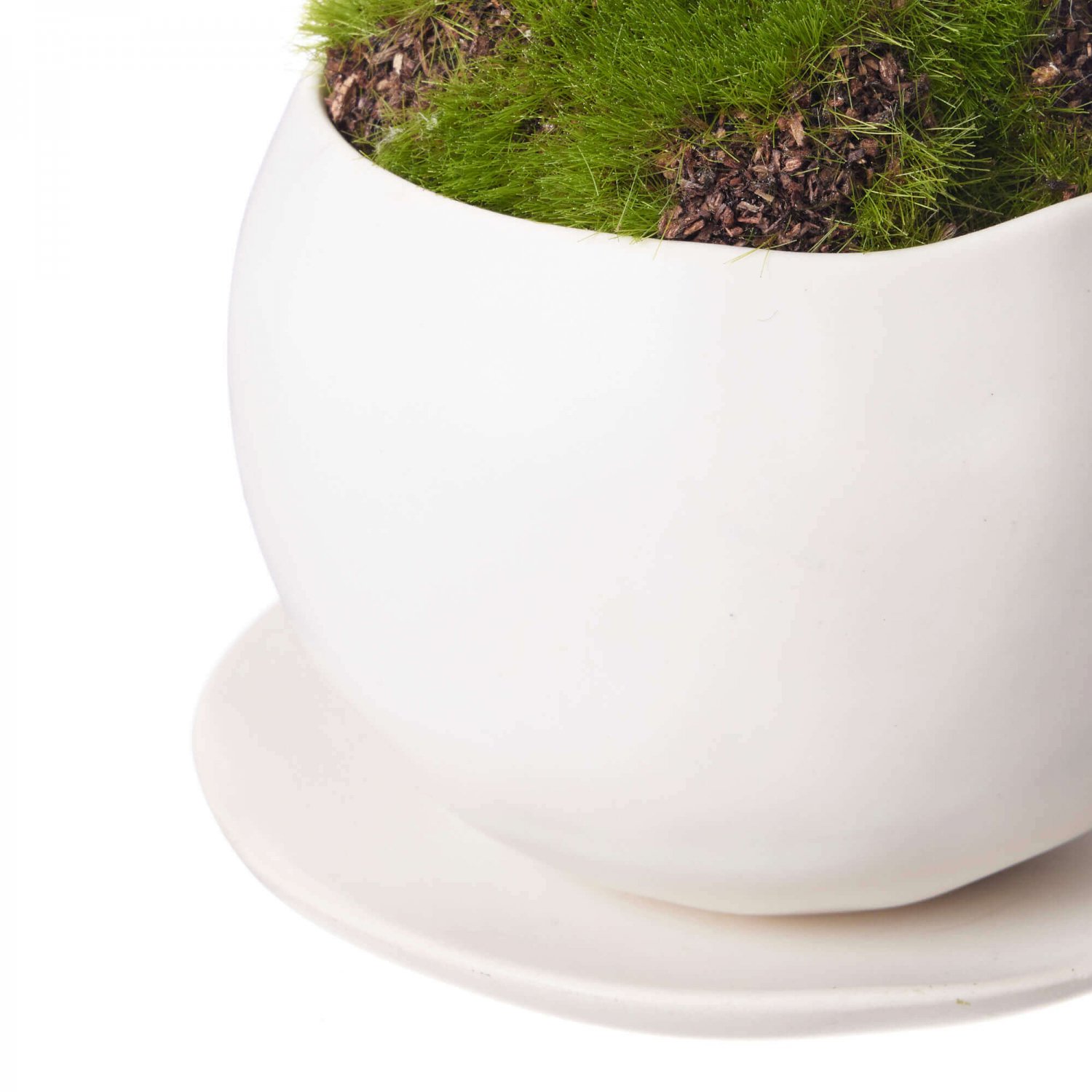 モミジ・シノブ 皿付小鉢 白 2個セット CUPBON 盆栽 フェイクグリーン