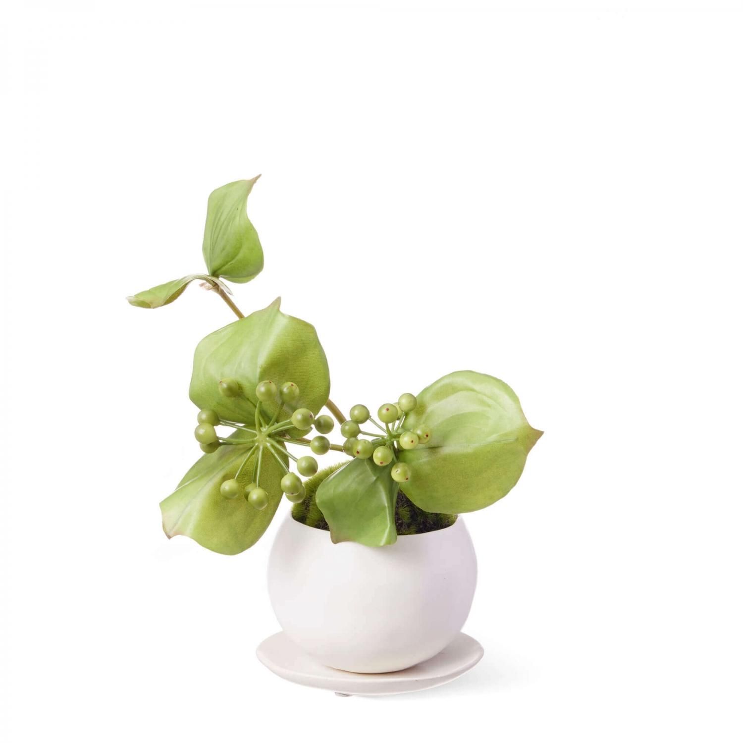 小鉢 2個セット フェイク盆栽 カップボン | 造花専門店プリマ