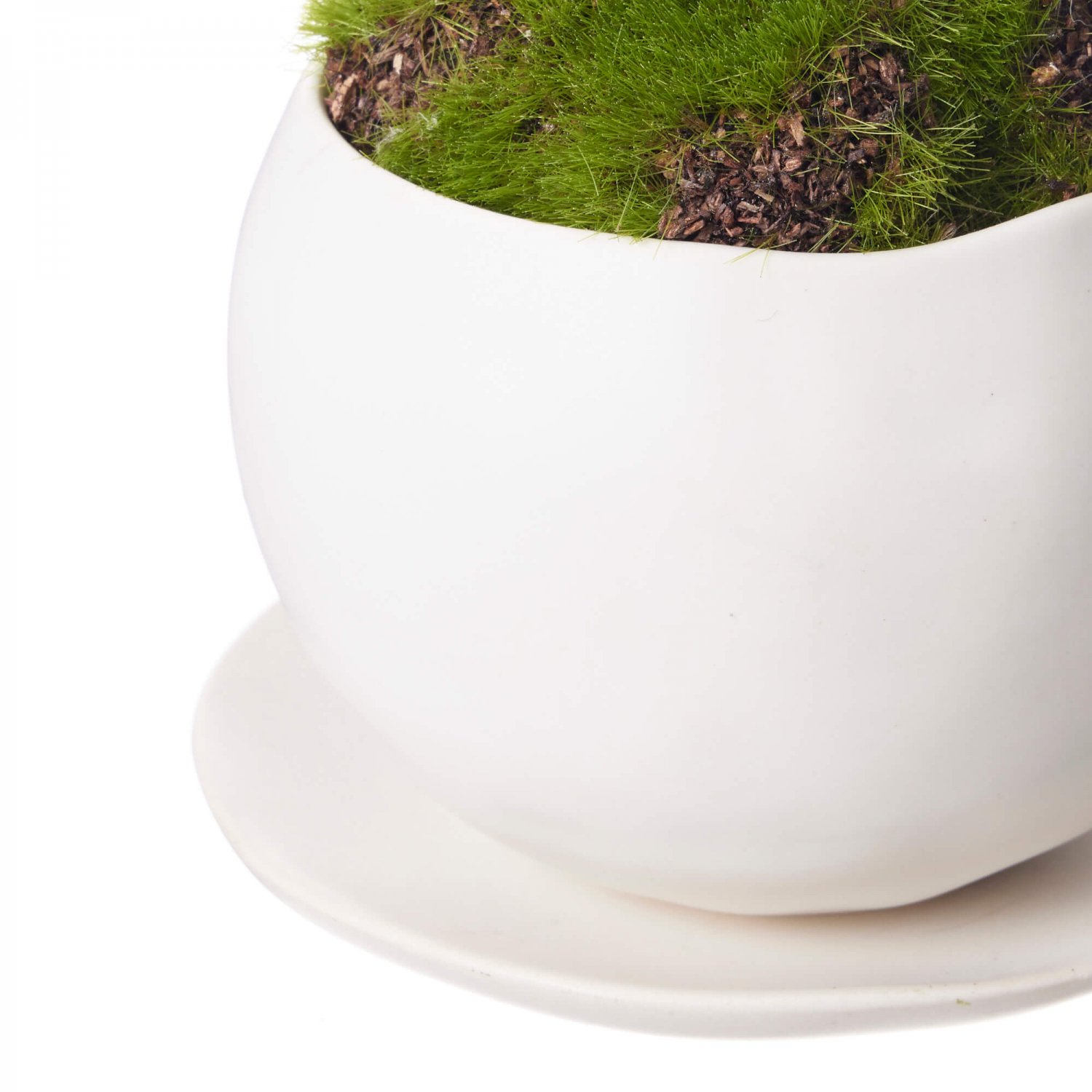 シノブ 皿付小鉢 白 CUPBON 盆栽 フェイクグリーン