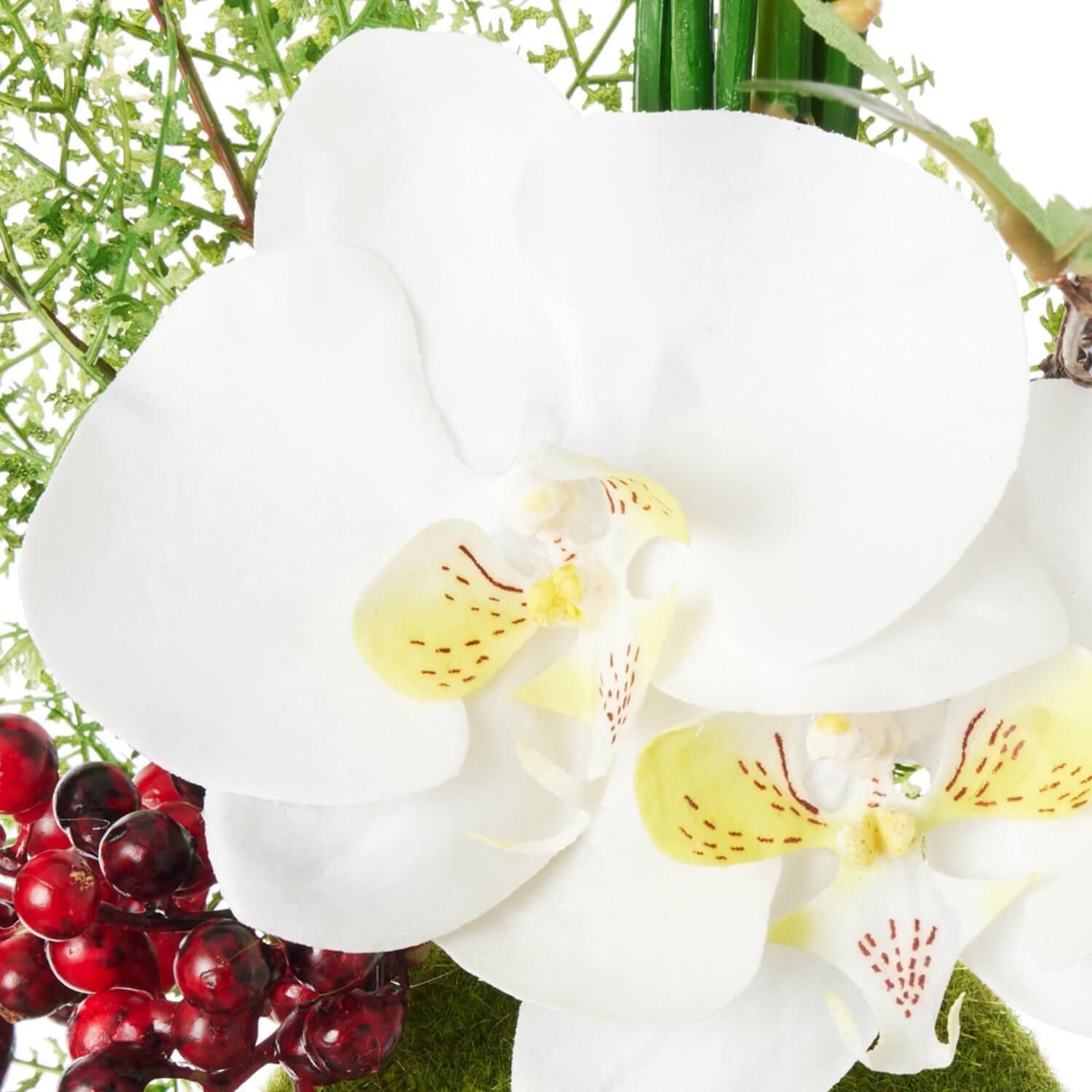  ĳߥȥ ݶ  ¤ ե󥸥