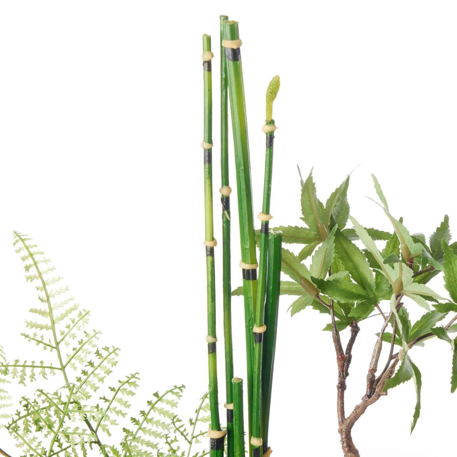  ĳߥȥ ݶ  ¤ ե󥸥