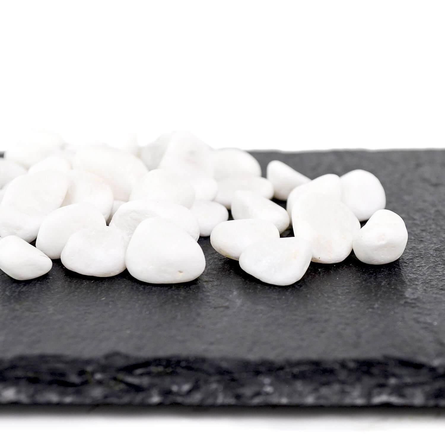  ĳߥȥ ݶ  ¤ ե󥸥