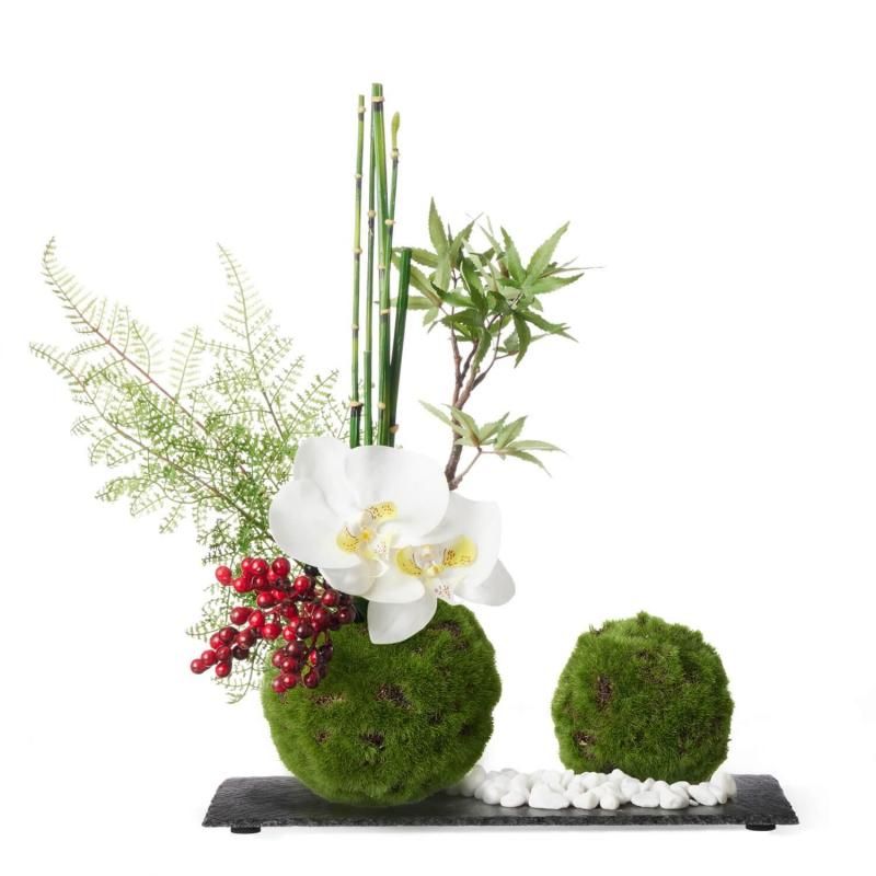  ĳߥȥ ݶ  ¤ ե󥸥