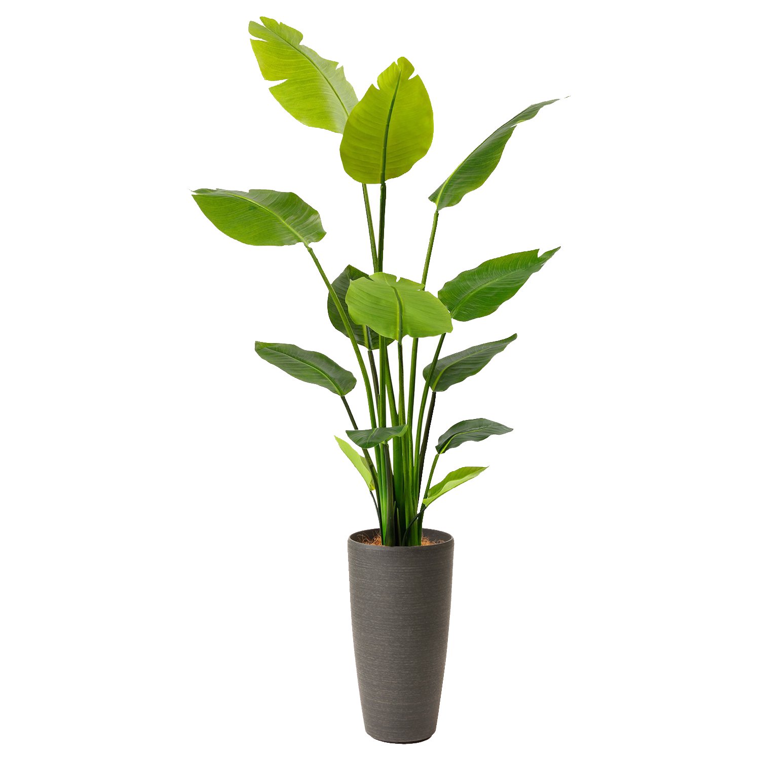 ストレリチア TPプランター H160cm 観葉植物 フェイクグリーン