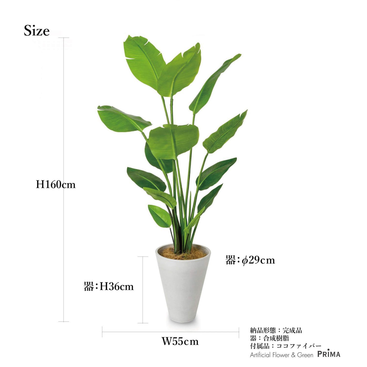 ストレリチア GWプランター H160cm ホワイト 観葉植物 フェイクグリーン 【当日出荷】