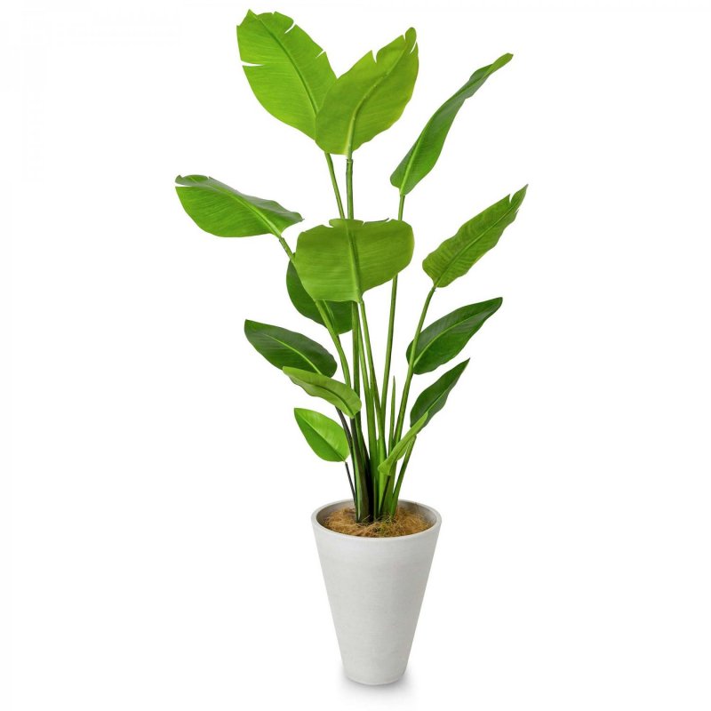 ストレリチア GWプランター H160cm ホワイト 観葉植物 フェイクグリーン【当日出荷】
