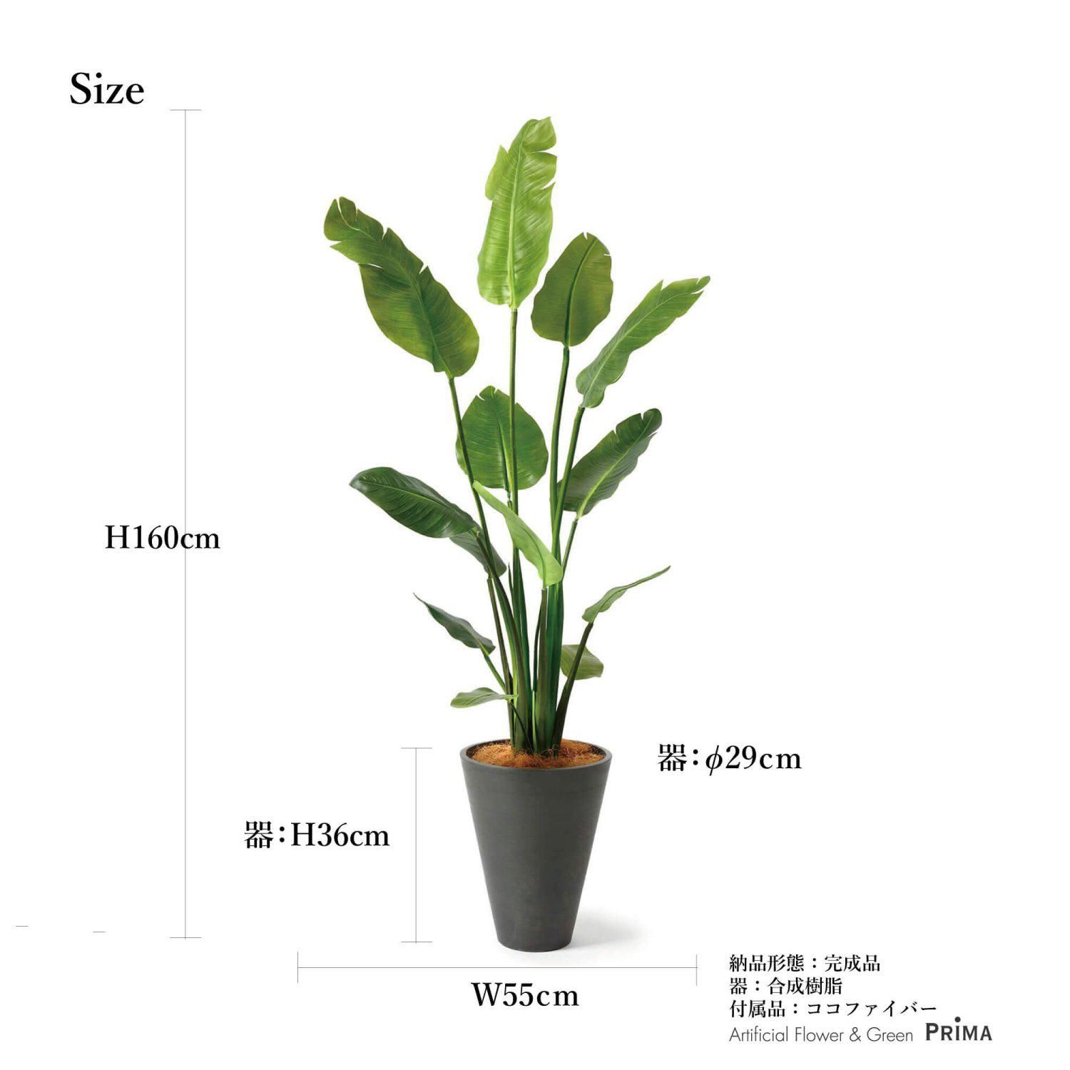 光触媒　人工観葉植物　ウォールグリーン　フェイクグリーン　ストレチア1.6m ストレチア1.6 729P290」アートクリエイションのフェイクグリーン