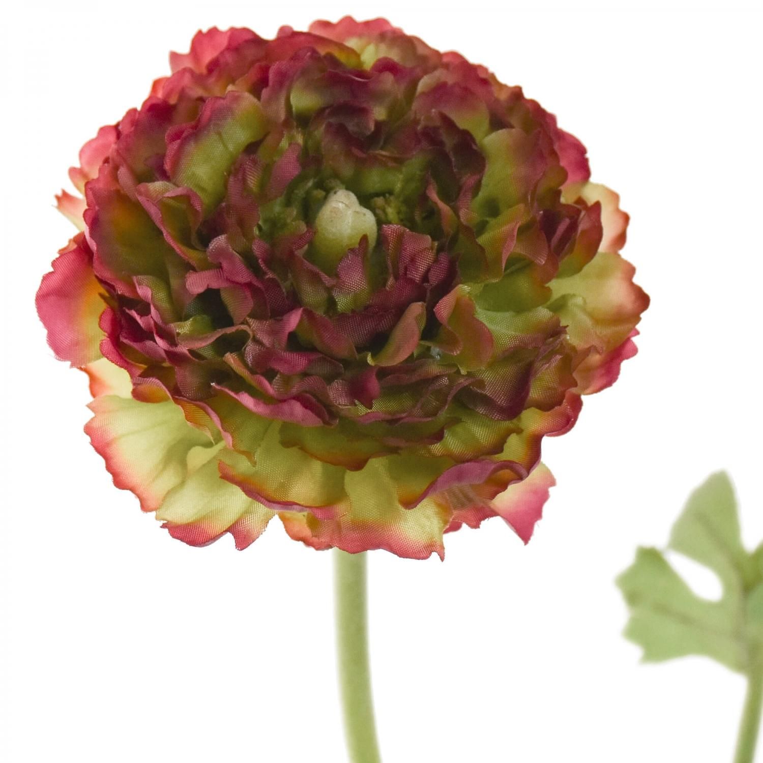 ʥ󥭥饹 ꡼ߥå ñʲֺ ¤ ƥեե 