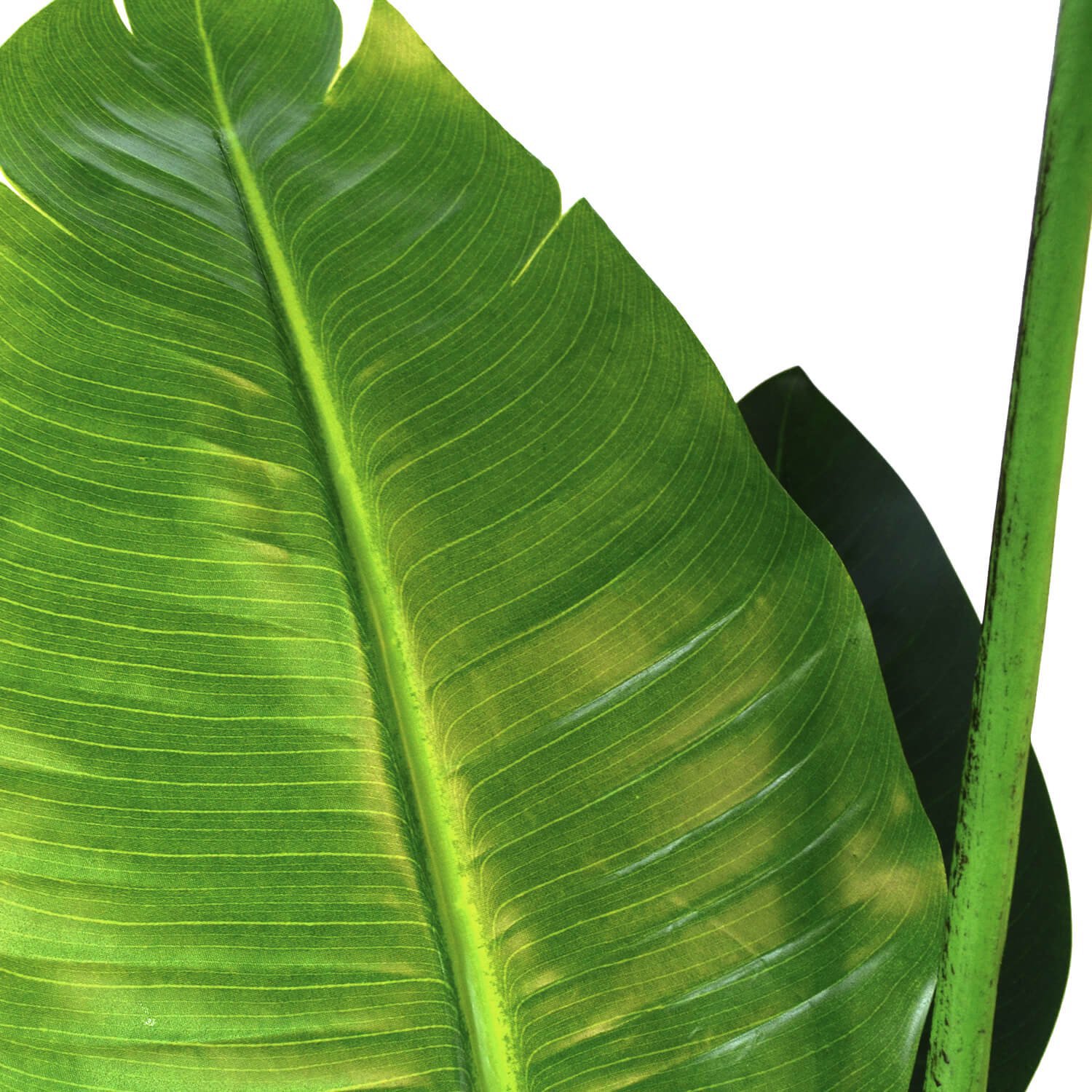 ストレリチア GWプランター H160cm ボーダーグレ— 観葉植物 フェイクグリーン