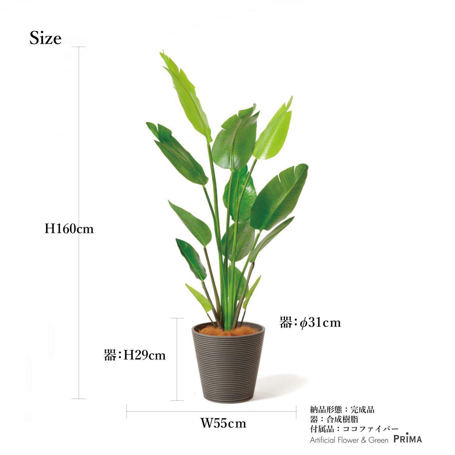 ストレリチア GWプランター H160cm ボーダーグレ— 観葉植物 フェイクグリーン
