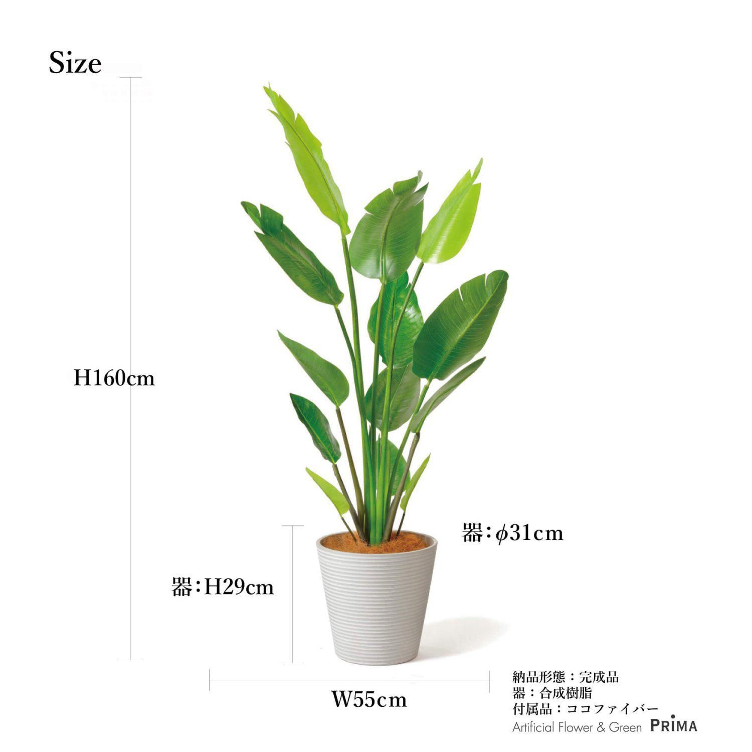 光触媒　人工観葉植物　ウォールグリーン　フェイクグリーン　ストレチアW1.3m 光触媒 人工観葉植物 ウォールグリーン フェイクグリーン