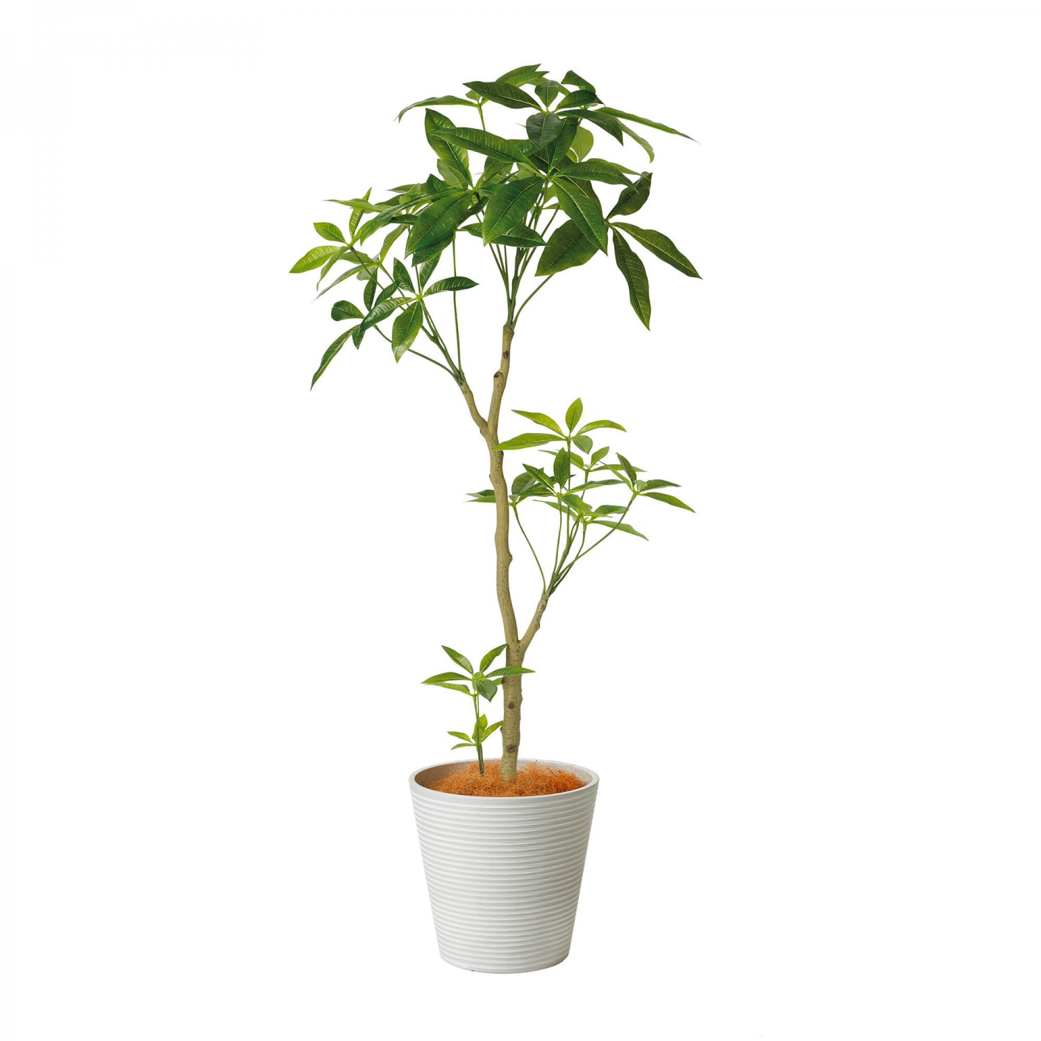 パキラ GWプランター H130cm ボーダーホワイト 観葉植物 フェイクグリーン eco 【別倉庫直送品】 